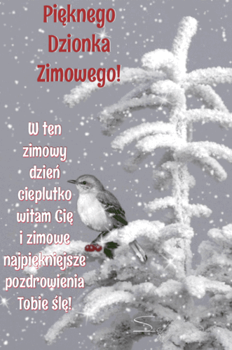 Njpiękniejsze pozdrowienia na ten zimowy dzień
